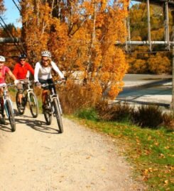 London Royal Parks Bike Tour