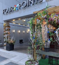 Four Points by Sheraton Manhattan SoHo Village