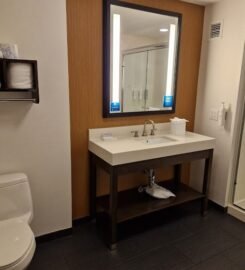 Hampton Inn Brooklyn/Downtown