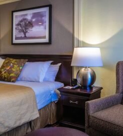 Olde Mill Inn, Where Comfort Meets Luxury