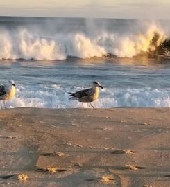 Hermitage Amagansett