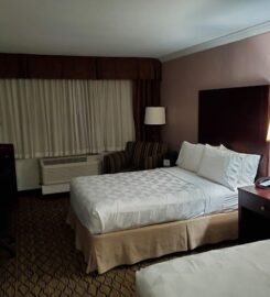 Mitchell Executive Hotels