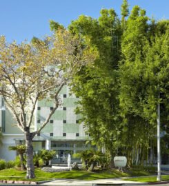 Avalon Hotel Beverly Hills, a beautiful Luxury Home