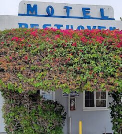 Rest Haven Motel, A Chic Refuge