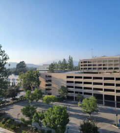 The Westin Pasadena, A Retreat Beyond Expectations