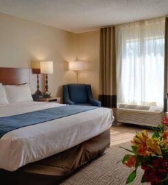 Comfort Inn & Suites North Dallas-Addison, A Blissful Nights Resort