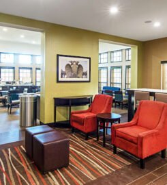 Comfort Suites NW Dallas Near Love Field, Royal Charm Retreat