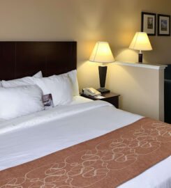 Comfort Suites Roanoke – Fort Worth North, A Blissful Hideaway