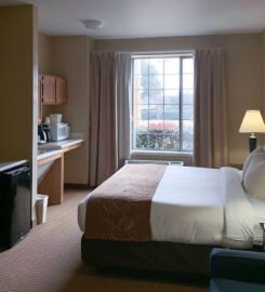 Comfort Suites Roanoke – Fort Worth North, A Blissful Hideaway