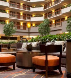 Embassy Suites by Hilton Dallas Near the Galleria, Dream Stay Haven