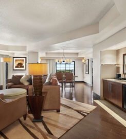 Embassy Suites by Hilton Grapevine DFW Airport North, A Serene Stay