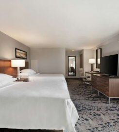 Embassy Suites by Hilton Grapevine DFW Airport North, A Serene Stay