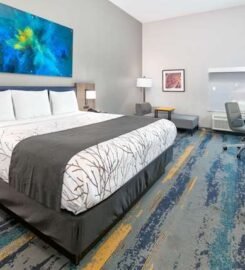 La Quinta Inn & Suites by Wyndham Dallas/Fairpark, Cozy Charm