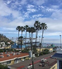 Seacrest Inn Catalina, An Exquisite Cozy Island Retreat