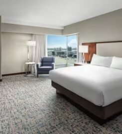 Hilton Boston Logan Airport, a Luxury Hotel