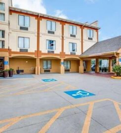 Comfort Inn & Suites Love Field-Dallas Market Center, A Cozy Haven