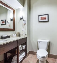 Comfort Inn & Suites Love Field-Dallas Market Center, A Cozy Haven