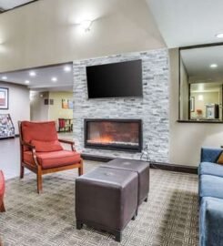 Comfort Inn & Suites Love Field-Dallas Market Center, A Cozy Haven