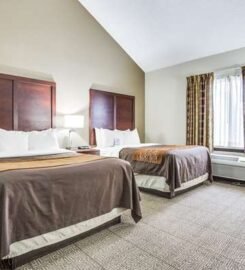 Comfort Inn & Suites Love Field-Dallas Market Center, A Cozy Haven