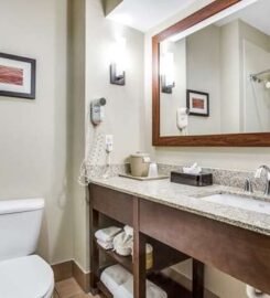 Comfort Inn & Suites Love Field-Dallas Market Center, A Cozy Haven