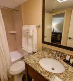 Embassy Suites by Hilton Dallas Market Center, A Splendid Getaway