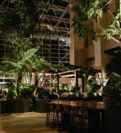 Diplomat Beach Resort Hollywood