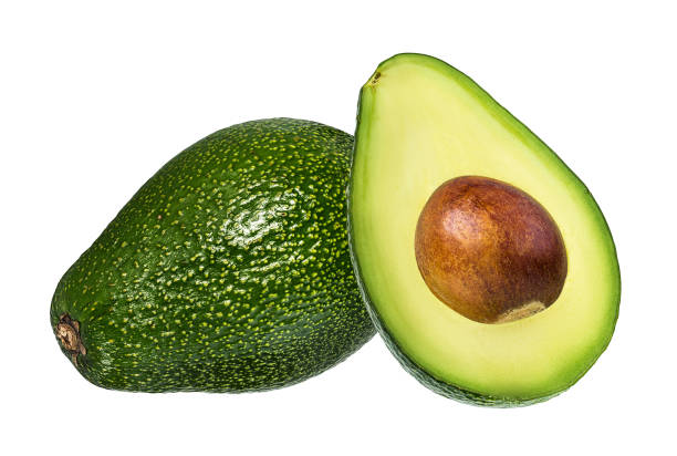 Avocado