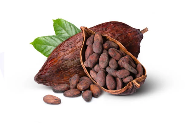 Cacao