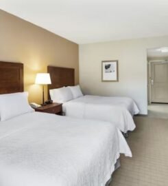 Hampton Inn Columbus South Fort Moore